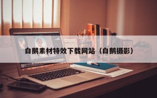 焦作白鹅素材特效下载网站（白鹅摄影）